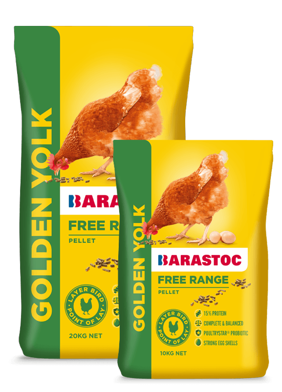 Barastoc Golden Yolk