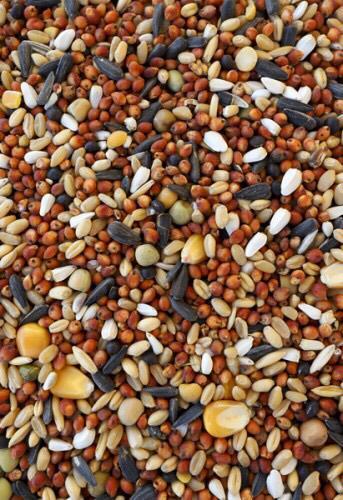 Hunters Wild Bird Mix