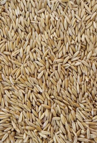 Oats